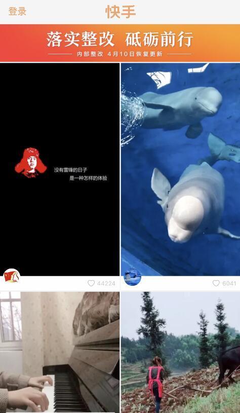 早孕网红成风,揭秘网络时代的生育新趋势