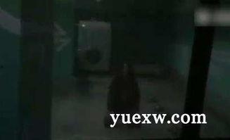 八卦电影完整版,揭秘影视圈幕后风云